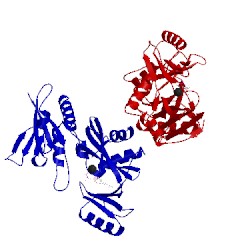 Image of CATH 1aux