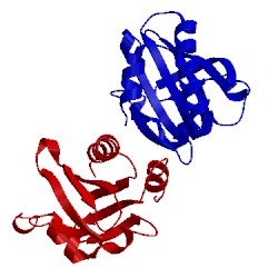 Image of CATH 1awi