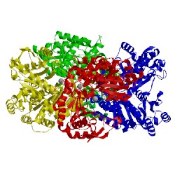 Image of CATH 1ax4