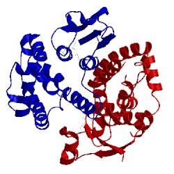 Image of CATH 1axd