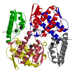Image of CATH 1ayp