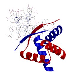 Image of CATH 1b01