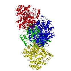 Image of CATH 1b25