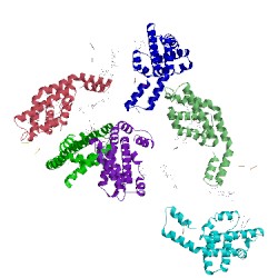 Image of CATH 1b33