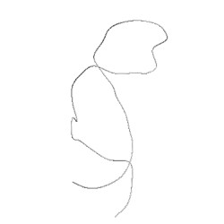 Image of CATH 1b36