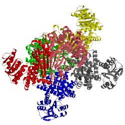 Image of CATH 1b3b