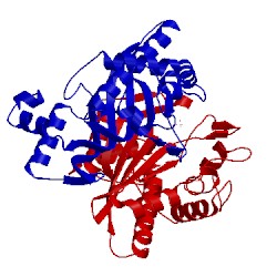 Image of CATH 1b49