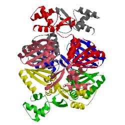 Image of CATH 1b4a