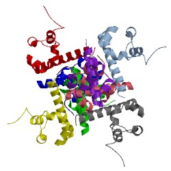 Image of CATH 1b4f