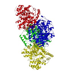 Image of CATH 1b4n