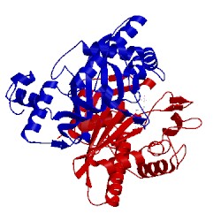 Image of CATH 1b5d