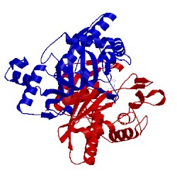 Image of CATH 1b5e