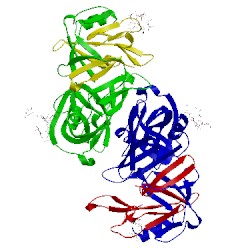 Image of CATH 1b5f