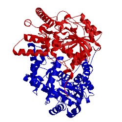 Image of CATH 1b5o