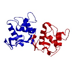 Image of CATH 1b5z