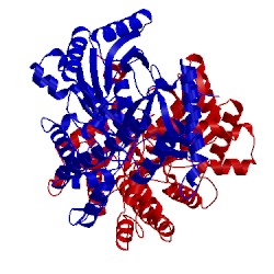 Image of CATH 1b8g