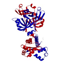 Image of CATH 1b9m