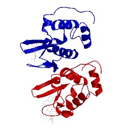 Image of CATH 1bb5