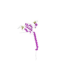 Image of CATH 1bccD