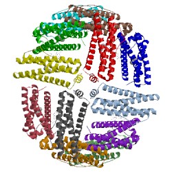 Image of CATH 1bcf