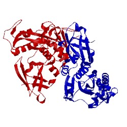 Image of CATH 1bcm