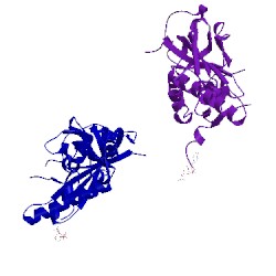 Image of CATH 1bcp