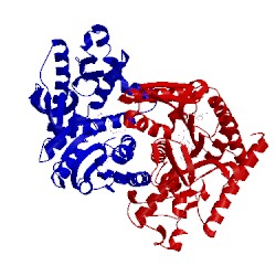 Image of CATH 1bdm