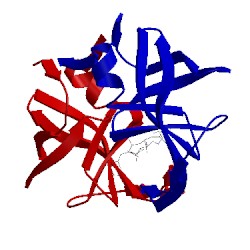 Image of CATH 1bdr