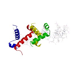 Image of CATH 1bdt