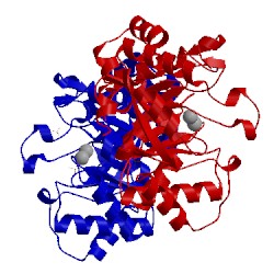 Image of CATH 1bf6