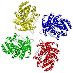 Image of CATH 1bga