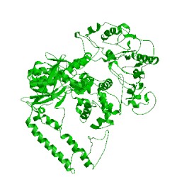 Image of CATH 1bgx