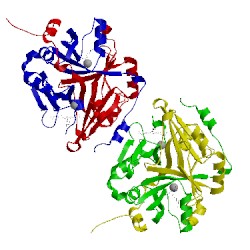 Image of CATH 1bh5