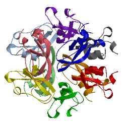 Image of CATH 1bhc