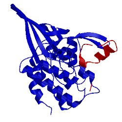 Image of CATH 1bi7