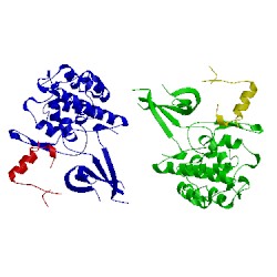 Image of CATH 1bi8