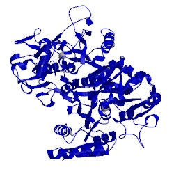 Image of CATH 1biy