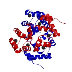 Image of CATH 1bjf