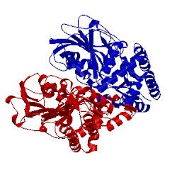 Image of CATH 1bjo