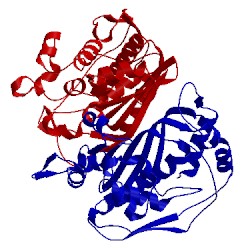 Image of CATH 1bkp