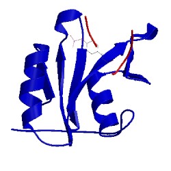 Image of CATH 1bmb