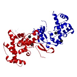 Image of CATH 1bmo