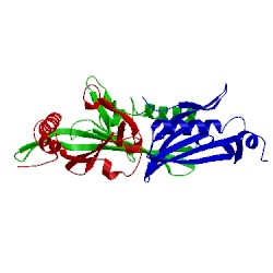 Image of CATH 1bms