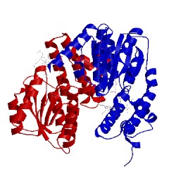 Image of CATH 1bmt