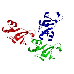 Image of CATH 1bng