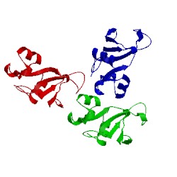 Image of CATH 1bns