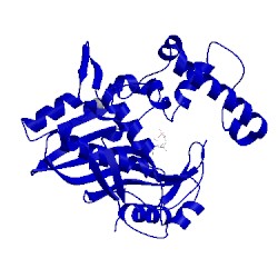 Image of CATH 1bp0