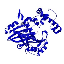 Image of CATH 1bpj