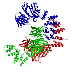 Image of CATH 1bpo