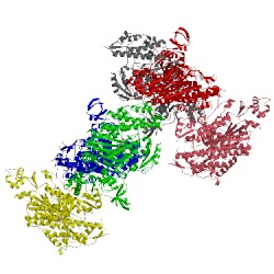 Image of CATH 1br2